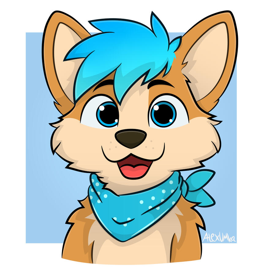 HEAD commission $ 25