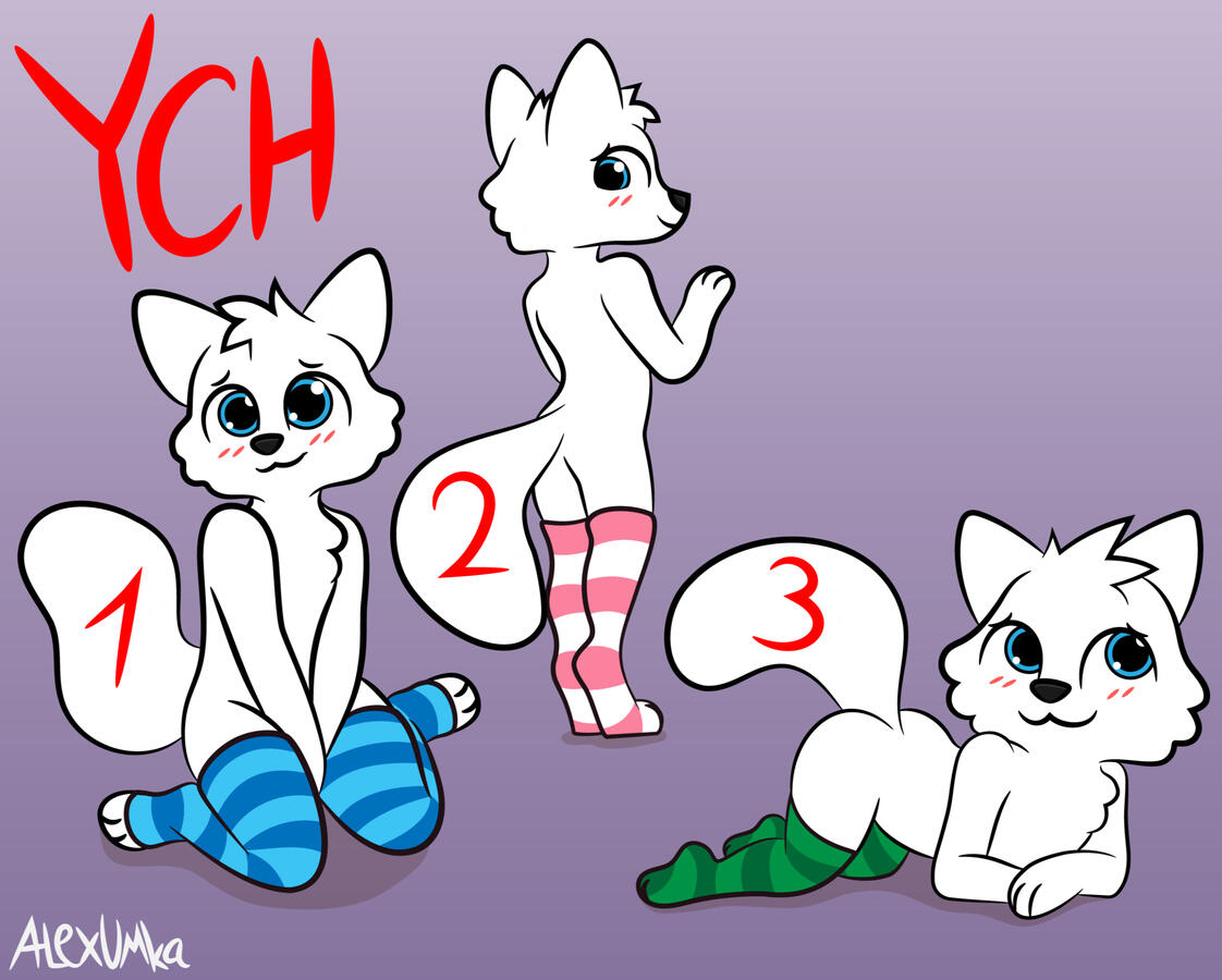 STOCKINGS ych from $ 20 each
